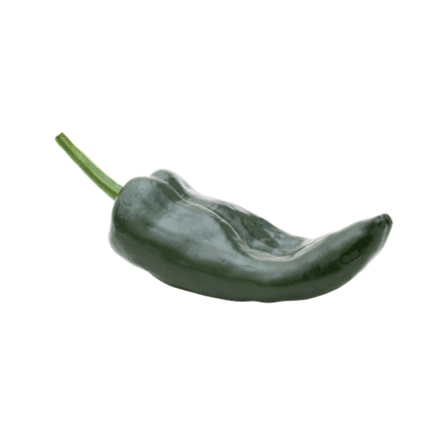 Poblano - Chilli