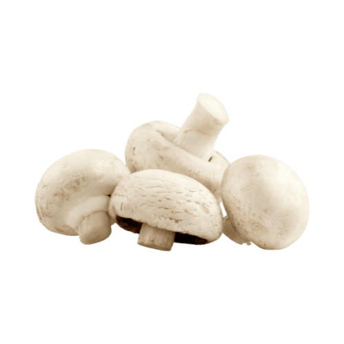 Button Mushroom