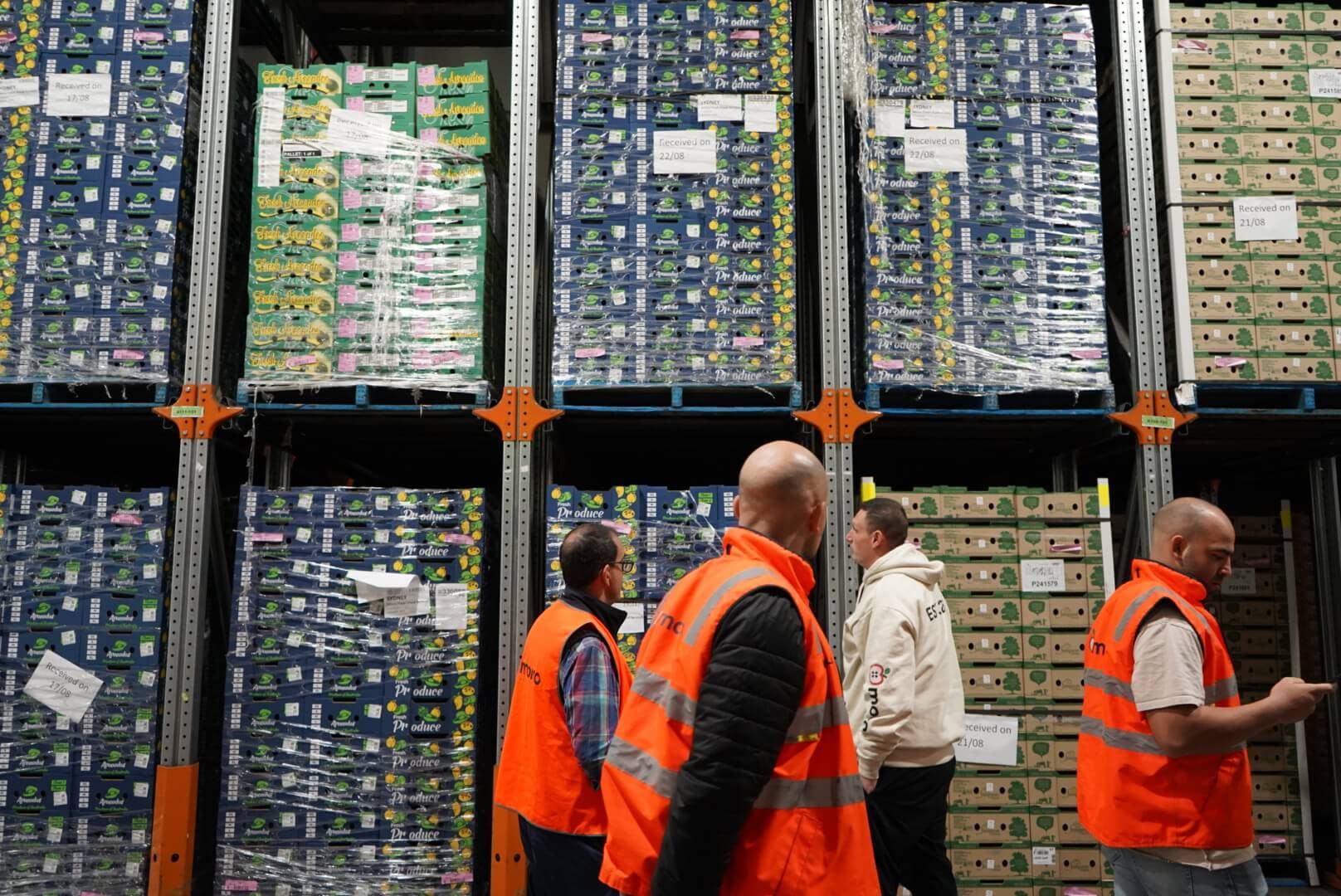 Nick Moraitis looking at fresh produce