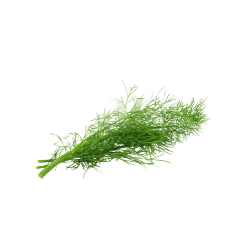 Dill