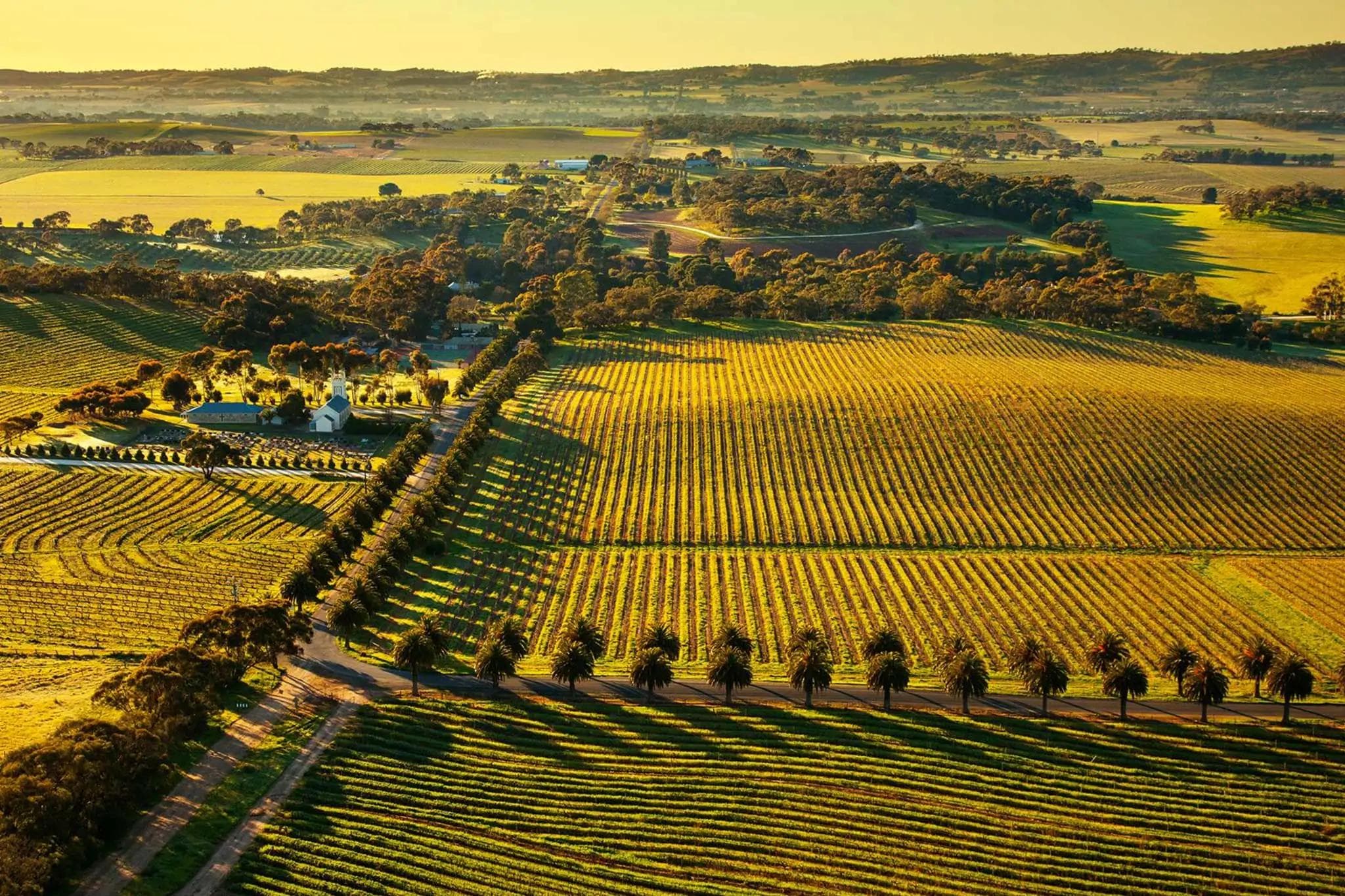 Barossa Valley, Morco Adelaide
